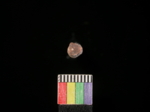 L_V23d3206 J3.35.11 Ux02 dM token f351